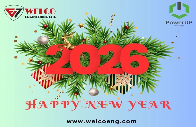 New Year Celebration 2026